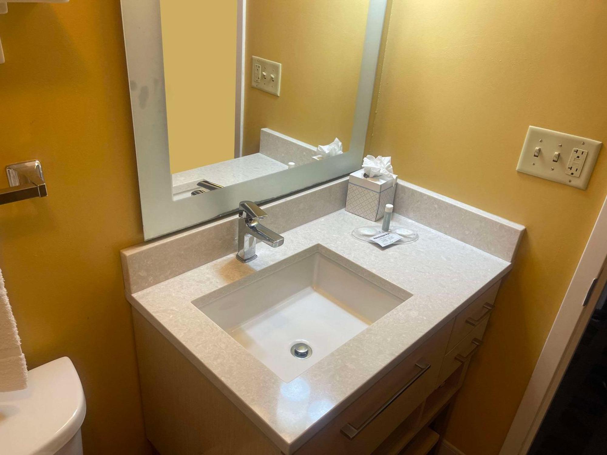 Mainstay Suites Tampa Moffitt-Usf Temple Terrace Eksteriør billede