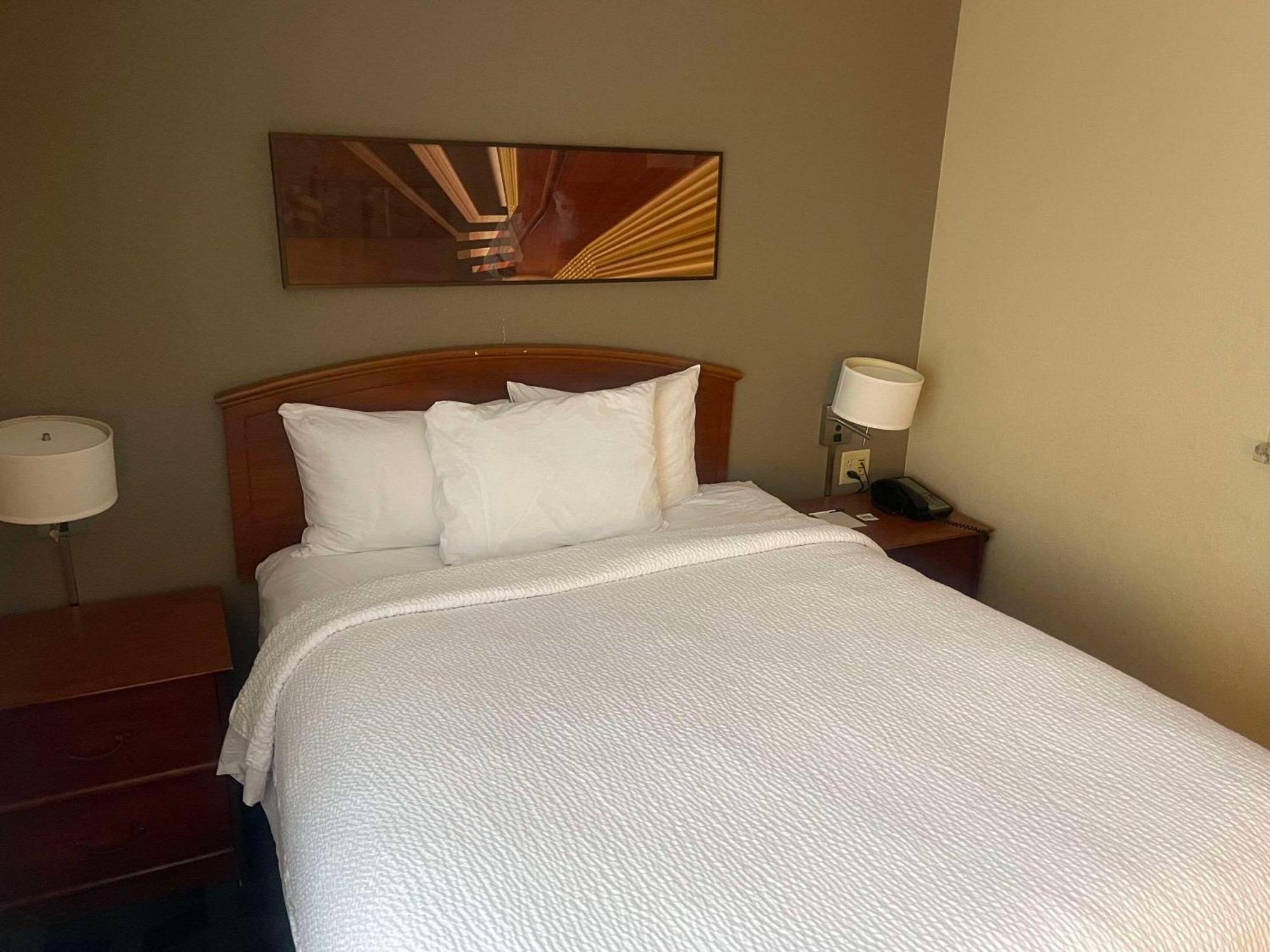Mainstay Suites Tampa Moffitt-Usf Temple Terrace Eksteriør billede