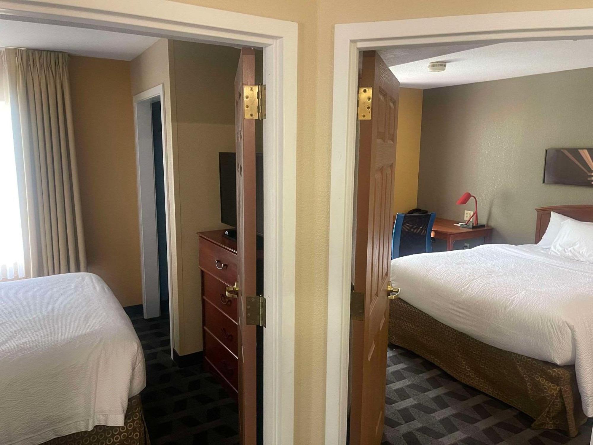 Mainstay Suites Tampa Moffitt-Usf Temple Terrace Eksteriør billede